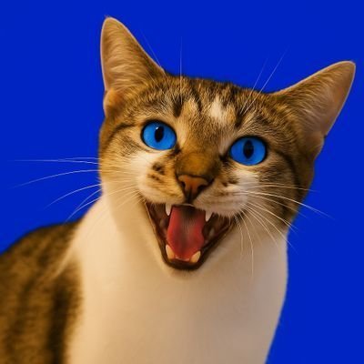 $MIAO logo